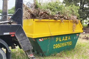Imagen de volqueton de poda de 8m3